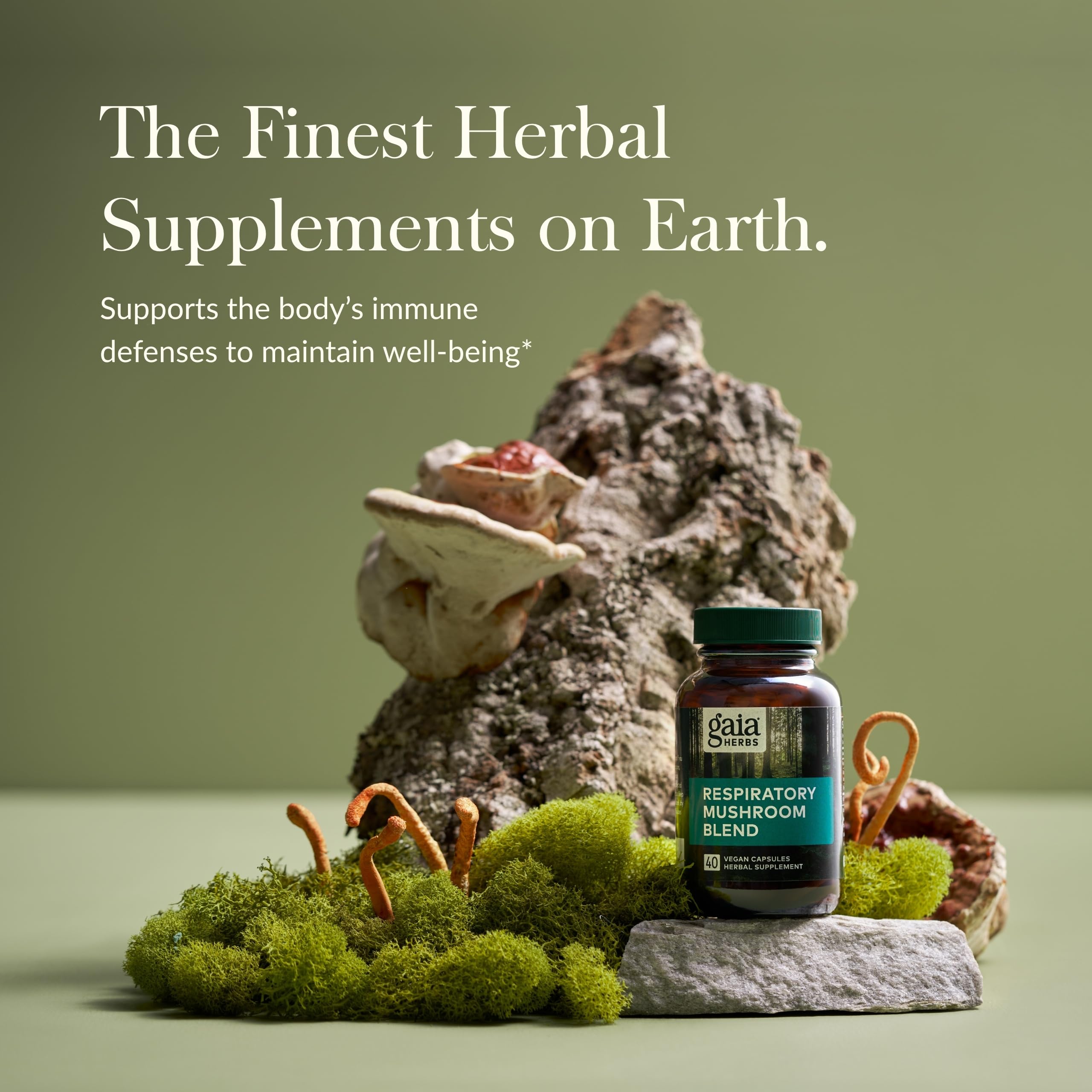 Reishi and Cordyceps mushrooms used in the blend