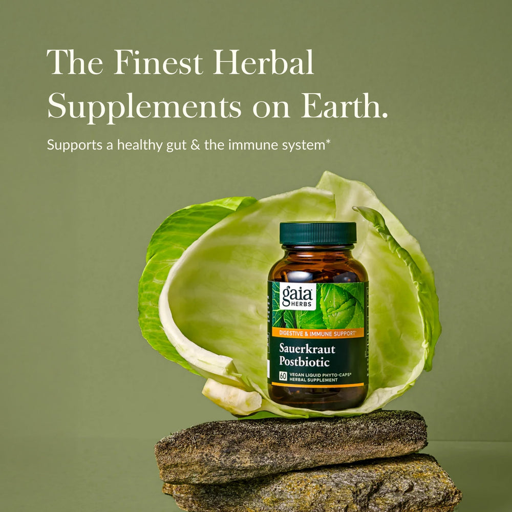 Close-up of Gaia Sauerkraut Postbiotic vegan capsules