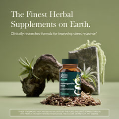 Organic ashwagandha plant used in Gaia Herbs formula