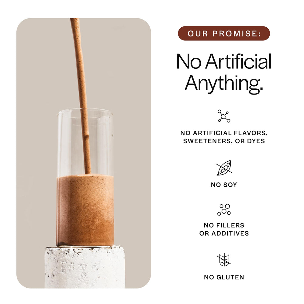 Gainful Flavor Boost Stick Sea Salt Caramel suggests indulgent flavor without guilt.