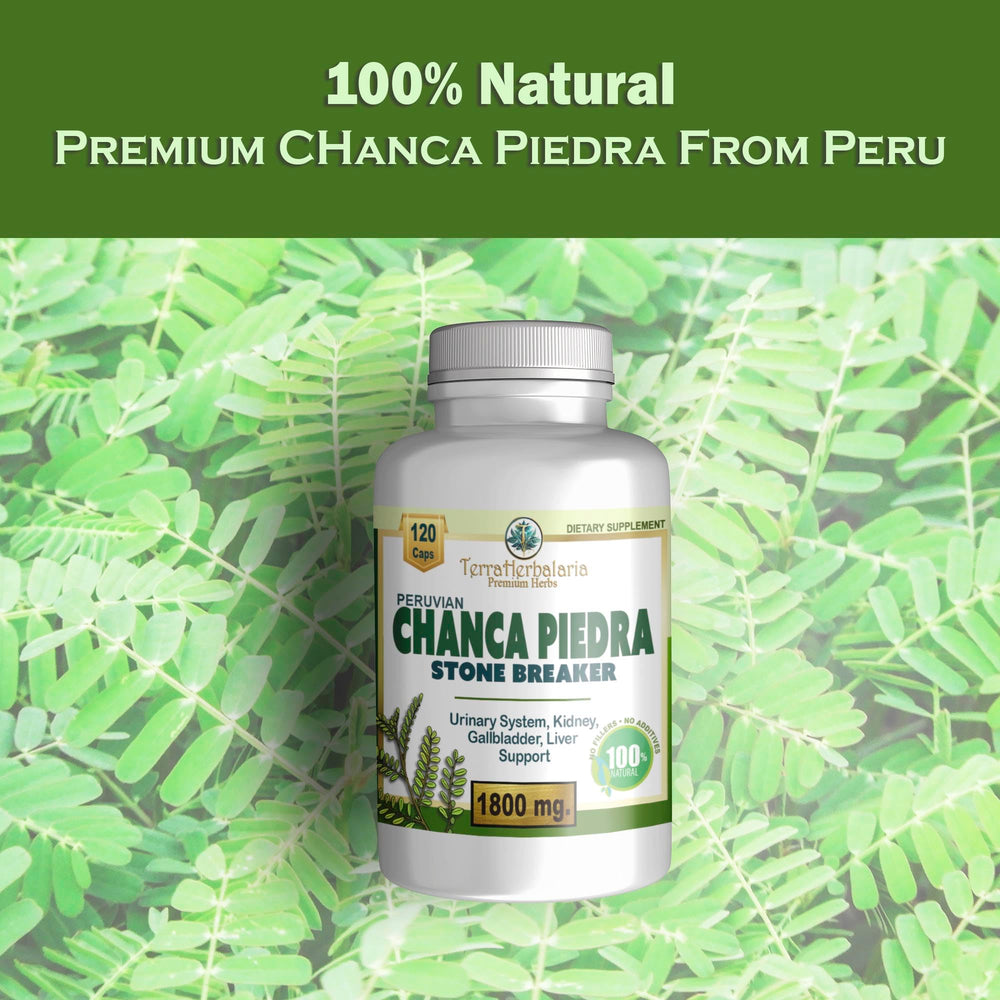 Chanca Piedra supporting gallbladder and urinary tract health
