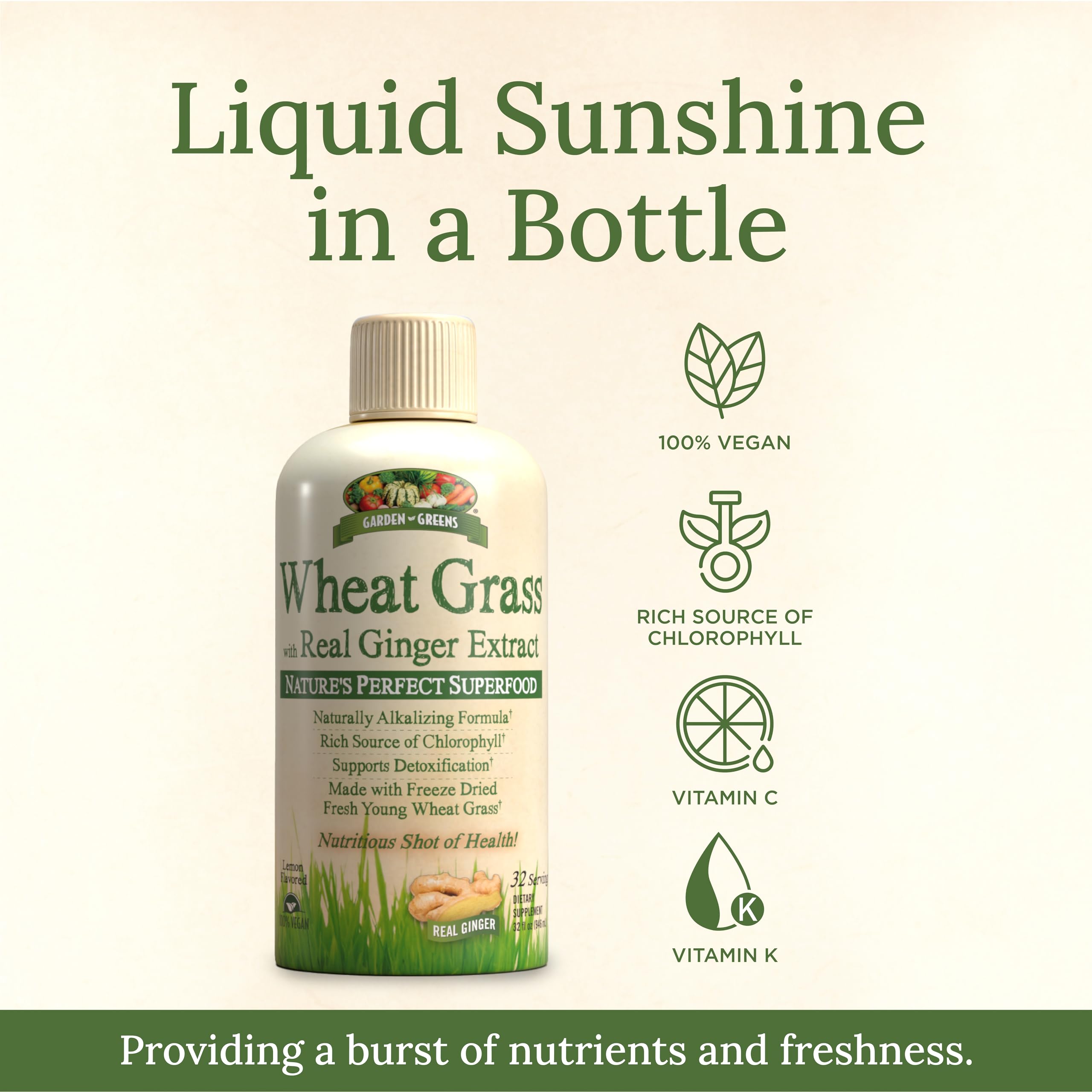 Ingredients highlight: wheat grass, chlorophyll, enzymes, ginger extract