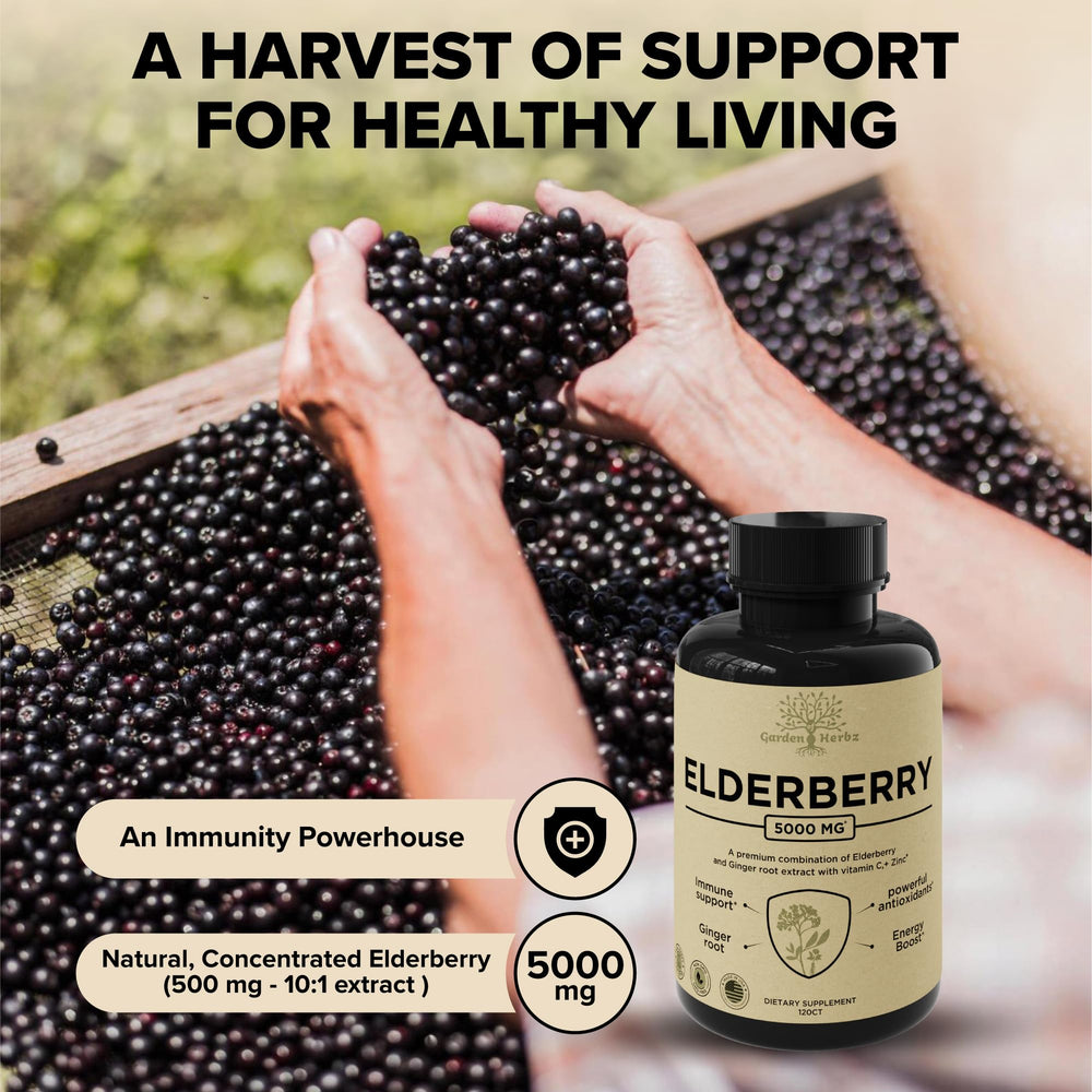 Packaging ingredient panel showing elderberry, Vitamin C and zinc