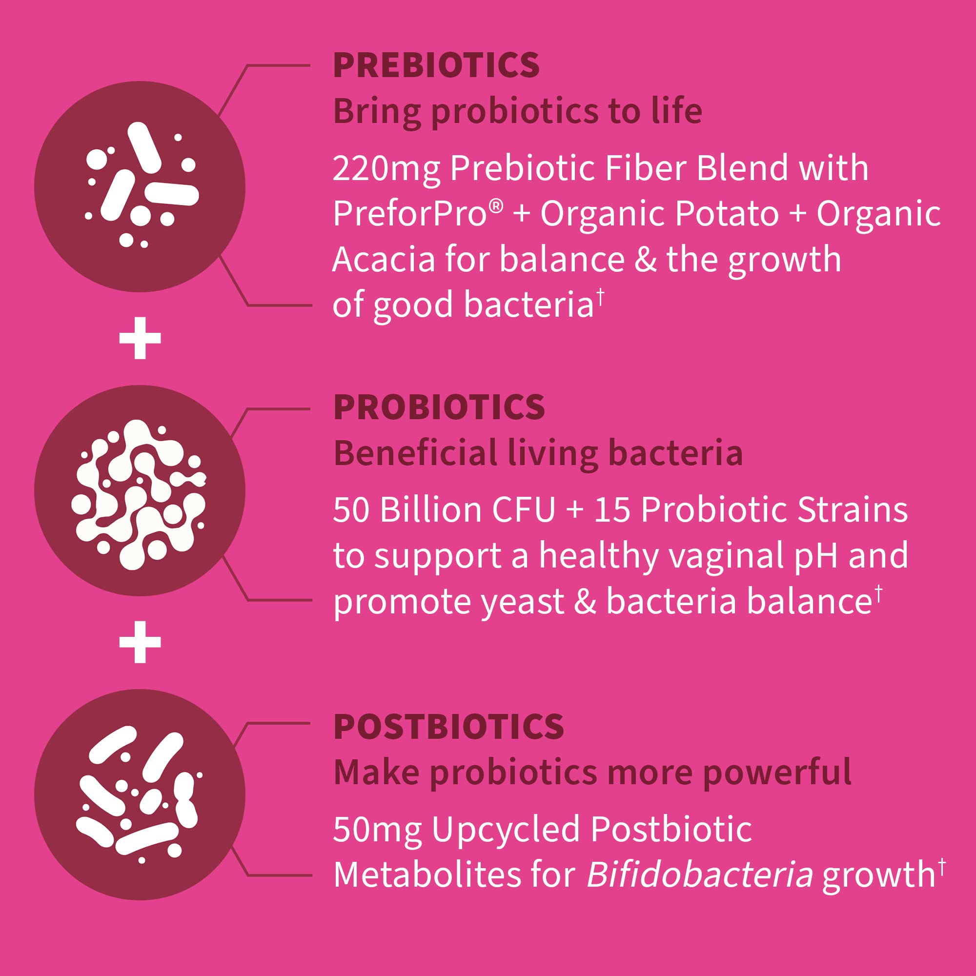 Illustration of postbiotics and metabolic byproducts