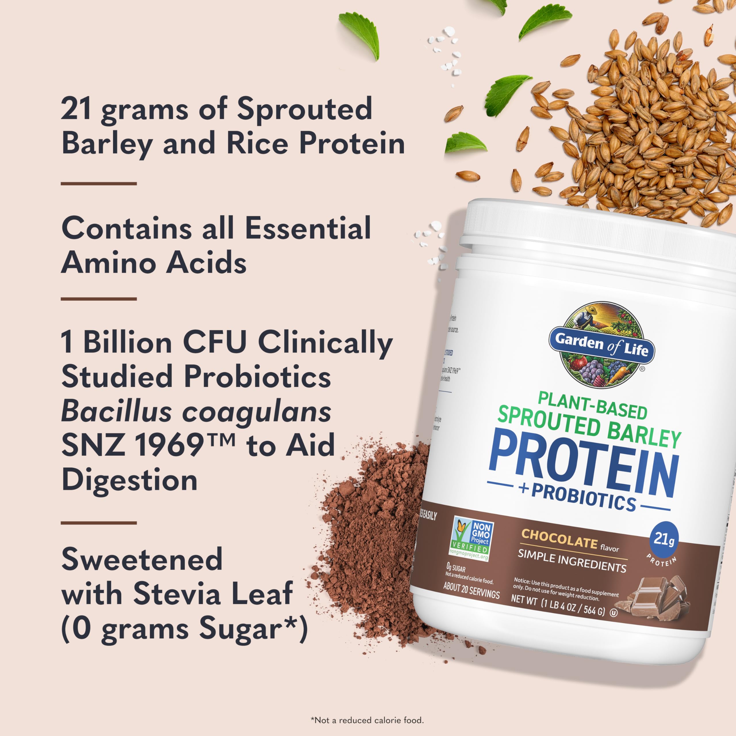 Close-up of chocolate protein powder in a scoop