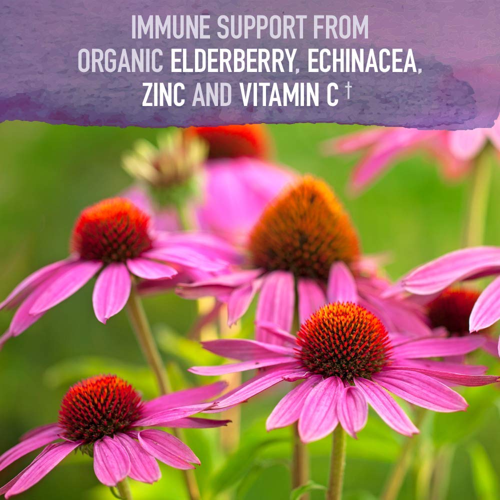 Organic certifications and vegan, gluten-free symbols on the Elderberry Immune Syrup product