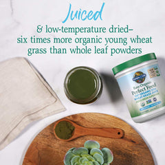 Close-up of bright green wheat grass powder texture
