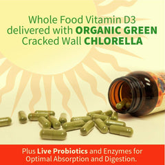 Close-up of digestive enzymes and probiotics in the Vitamin D3 supplement
