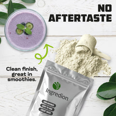 Generic Pea Protein shake in blender bottle with easy daily protein boost