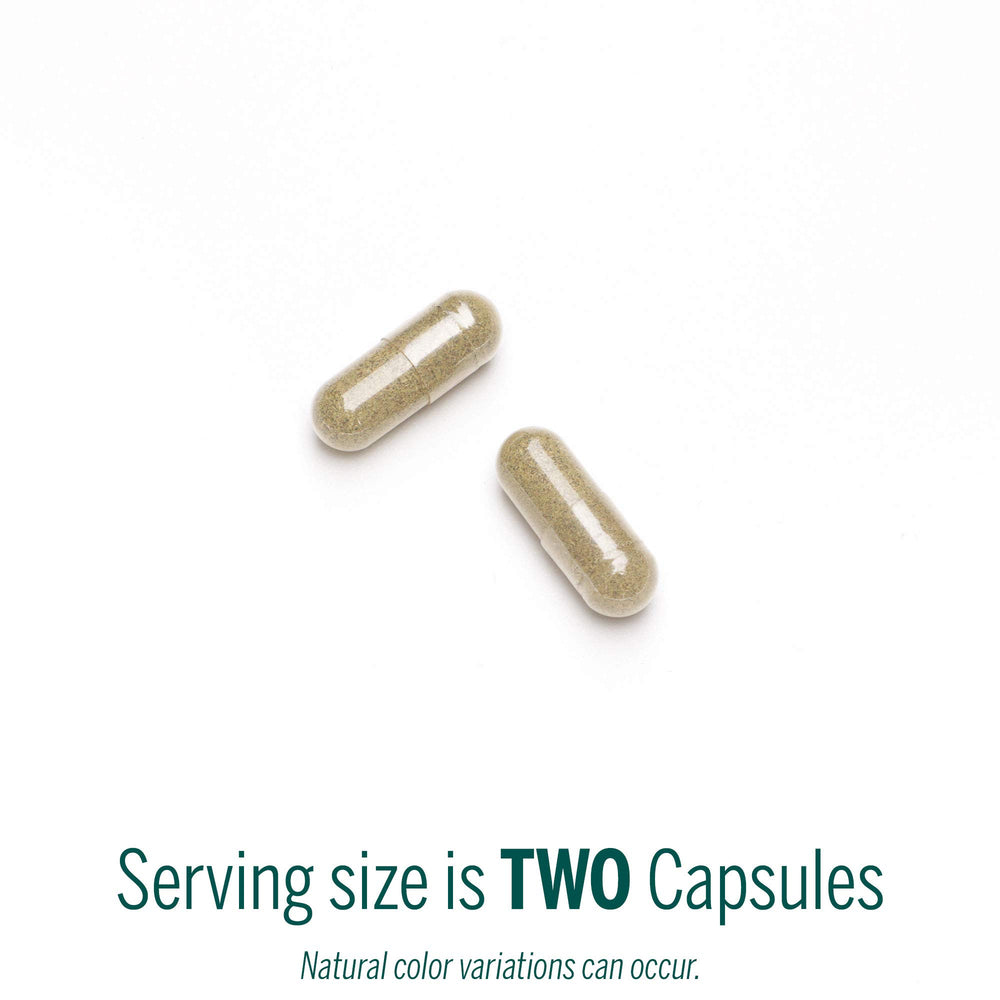 Close-up of the Genestra Black Walnut Capsules label