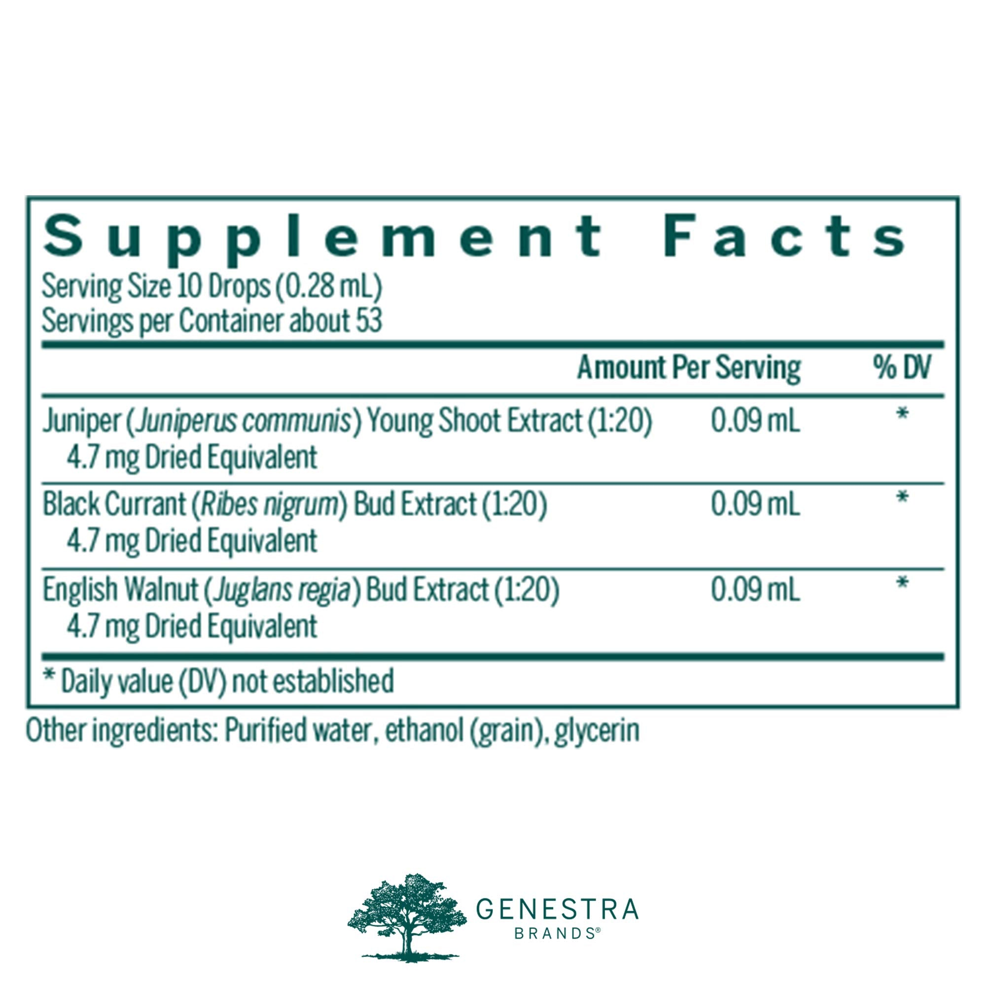 Close-up of Juniper berries, ingredient in Liv-gen.