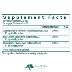 Close-up of Juniper berries, ingredient in Liv-gen.