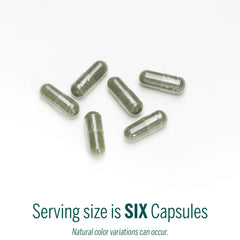Illustration of spirulina and chlorella microalgae