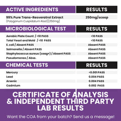 Close-up of micronized Trans-Resveratrol powder detail