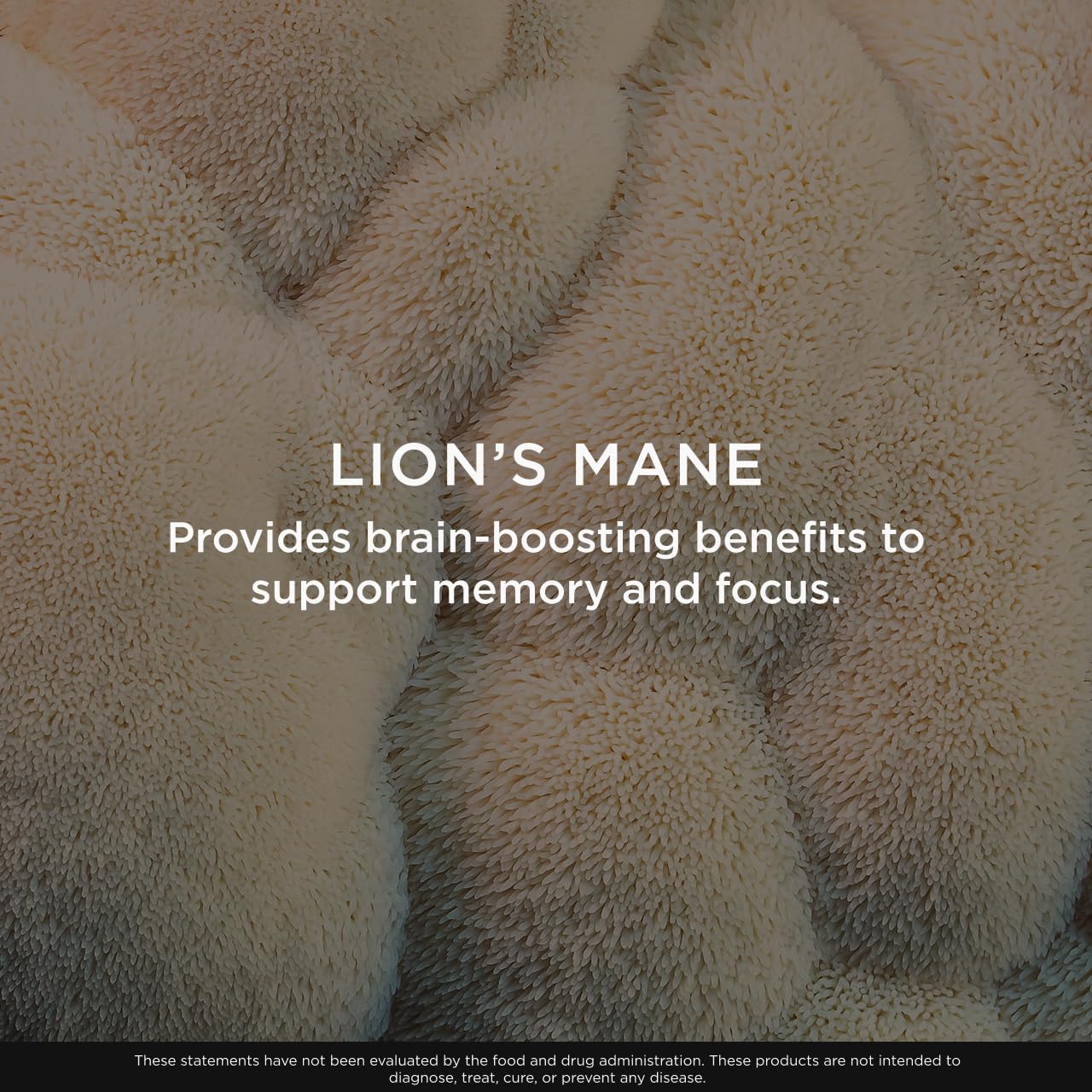 Nutrition facts label for Genius Lion's Mane Soft Chews
