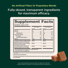 Close-up of ingredients on Genius Mushroom Chews label