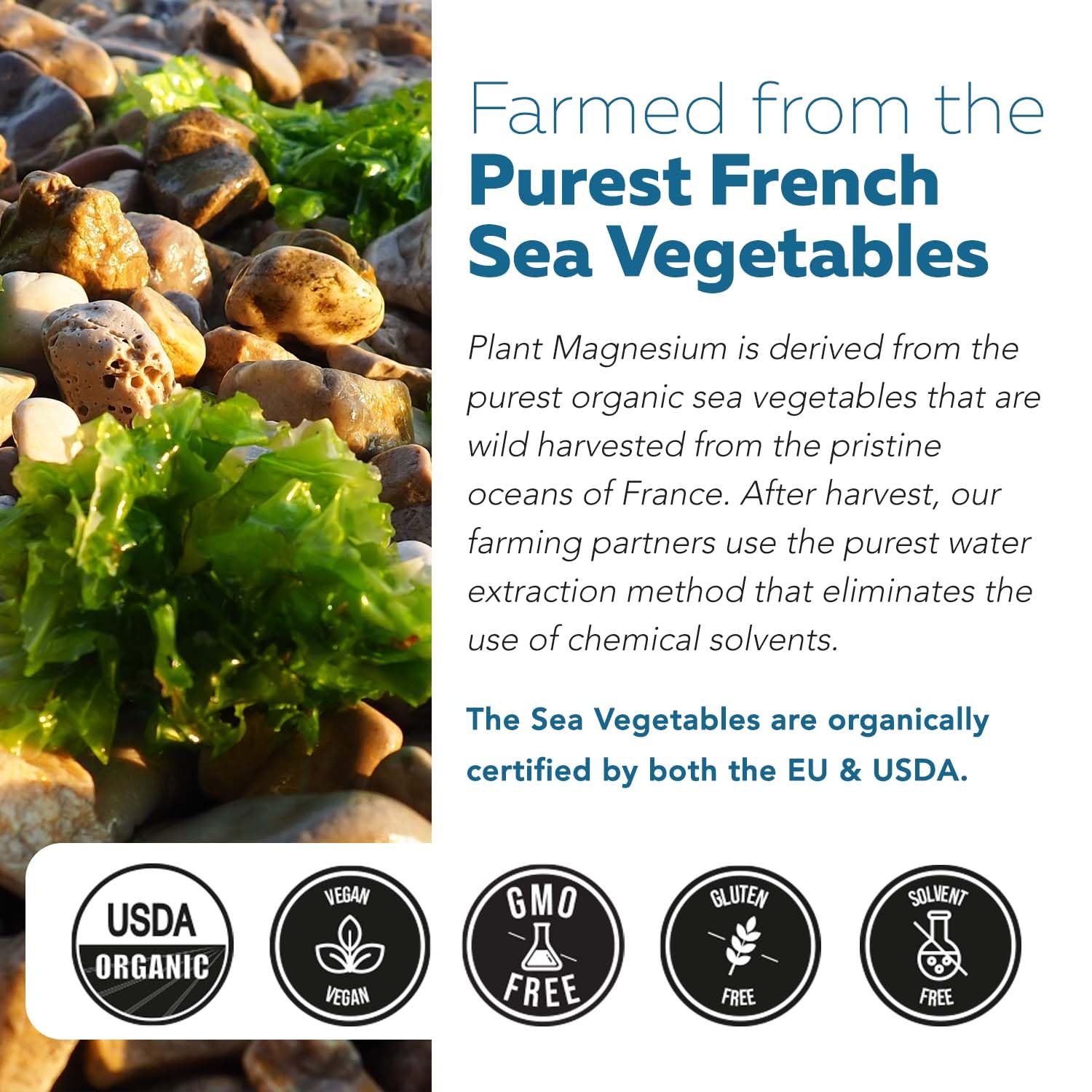 Gentle on digestive system magnesium