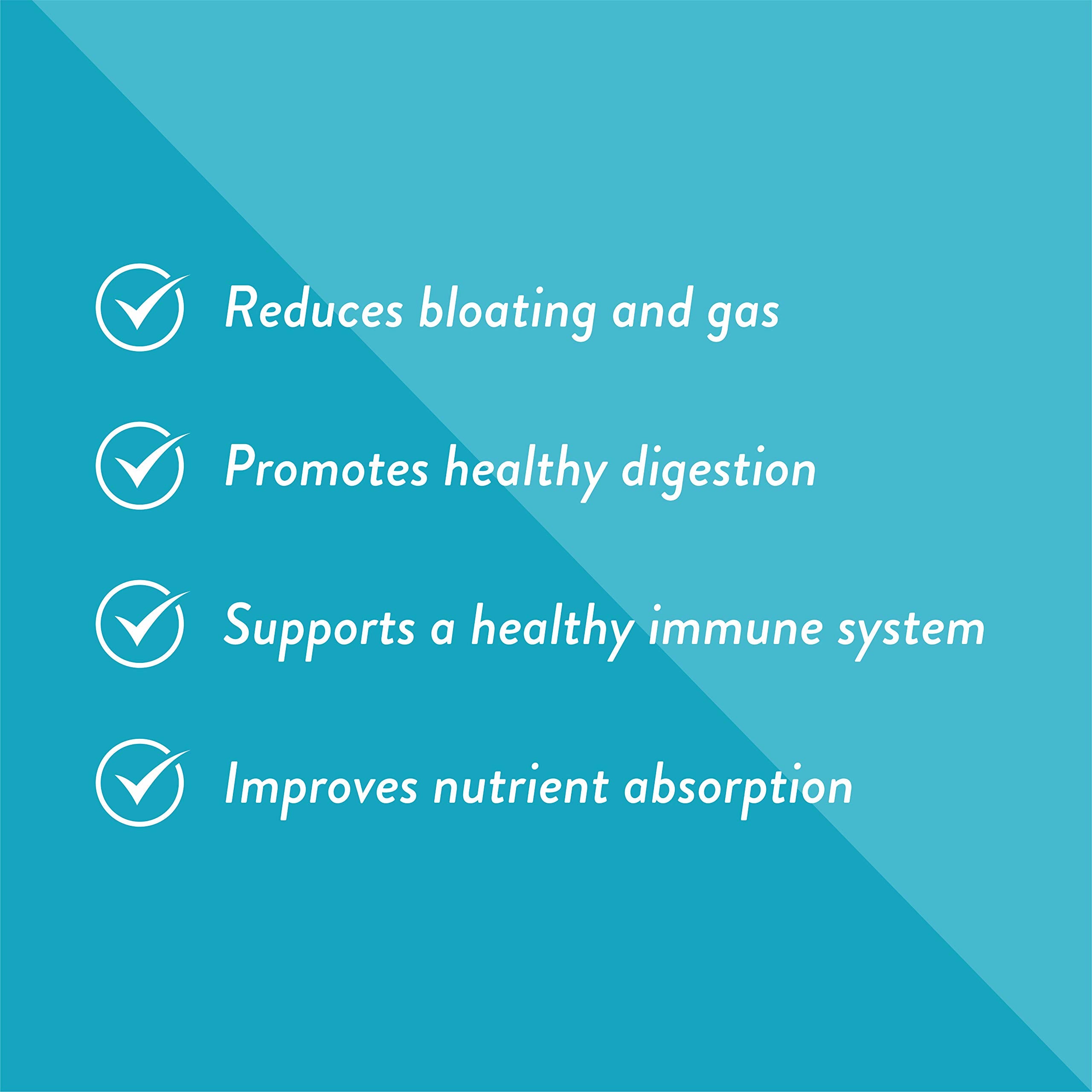 Vegan delayed-release probiotic capsules