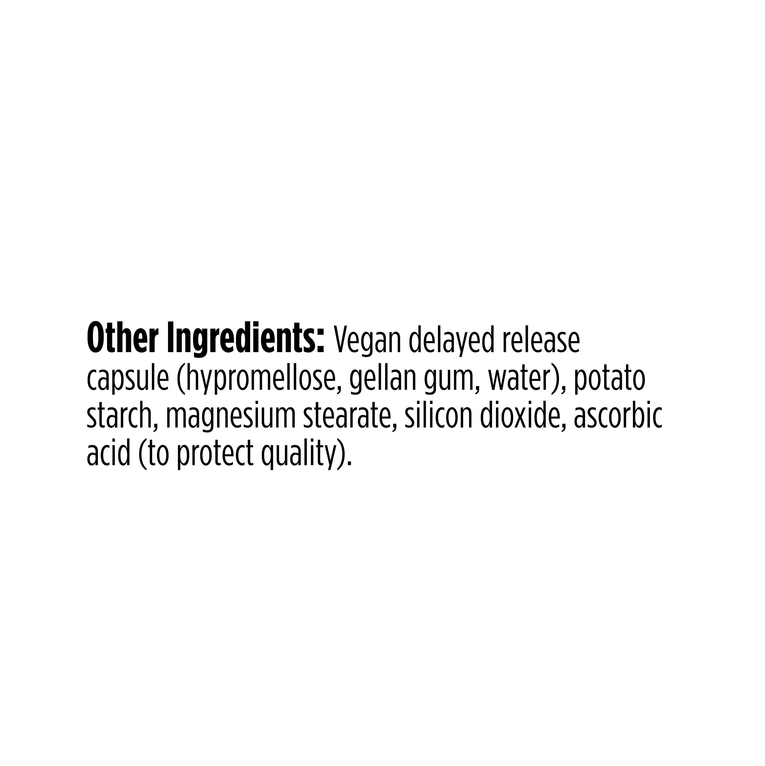 Illustration depicting urinary tract health and probiotics