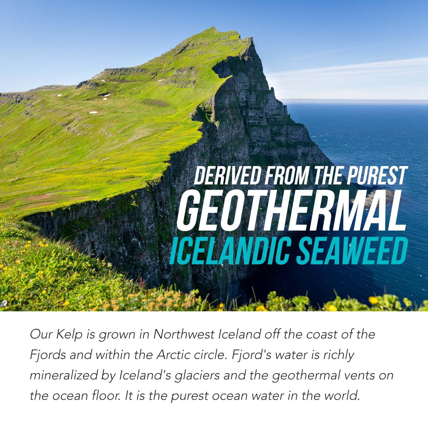 Geothermal Icelandic seaweed mineral complex texture