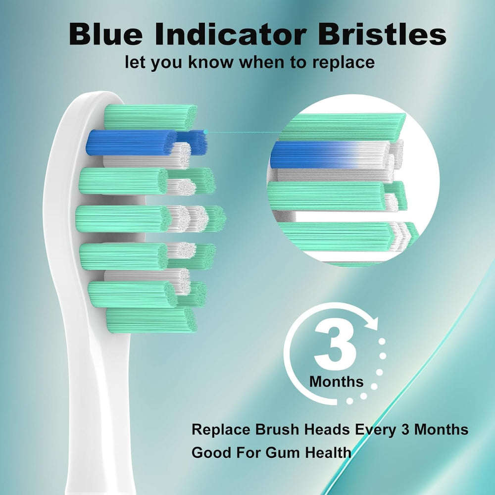 Blue indicator bristles on GERAGER heads for replacement reminders