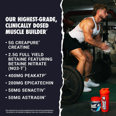 Close-up of key ingredients: Creatine, Betaine, PeakATP, Epicatechin