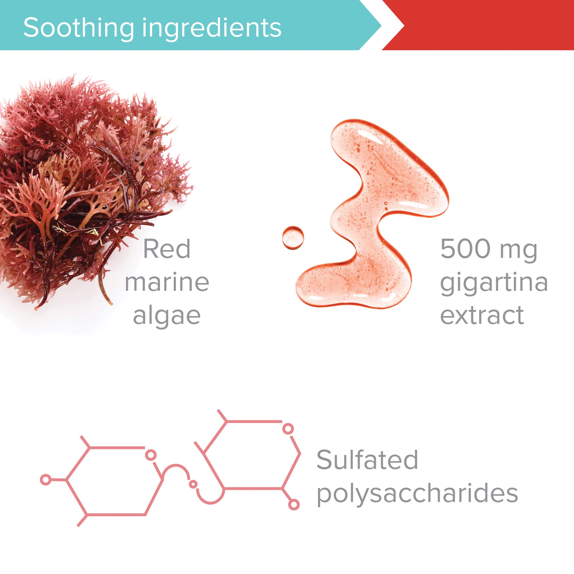 Graphic of sulfated polysaccharides associated with immune support