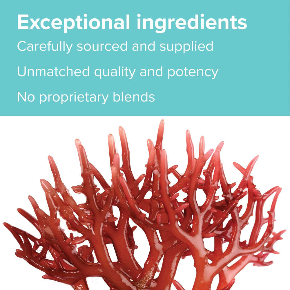 Whole-body wellness concept with capsules and plant imagery