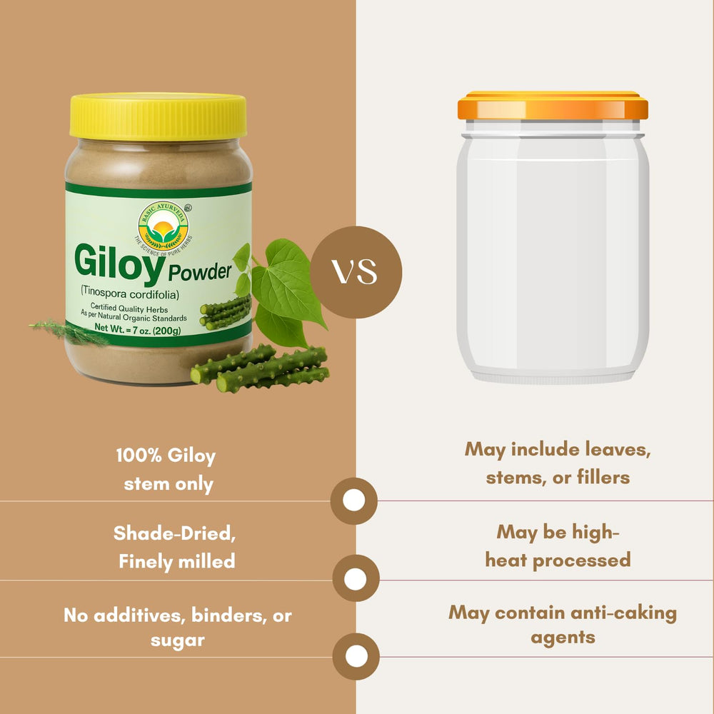 Giloy powder aiding digestive health and gut wellness