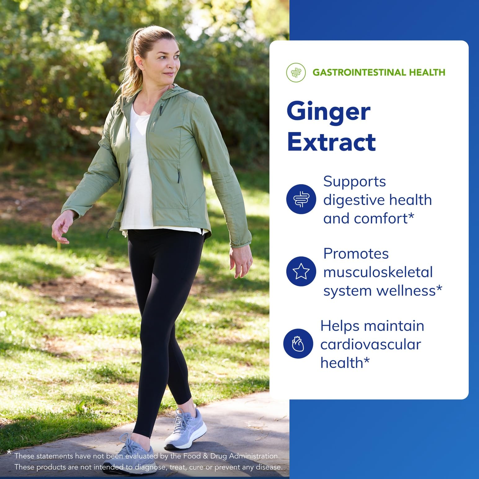 Ginger Extract supporting cardiovascular health
