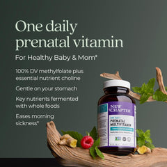 Ginger for nausea relief in prenatal vitamins