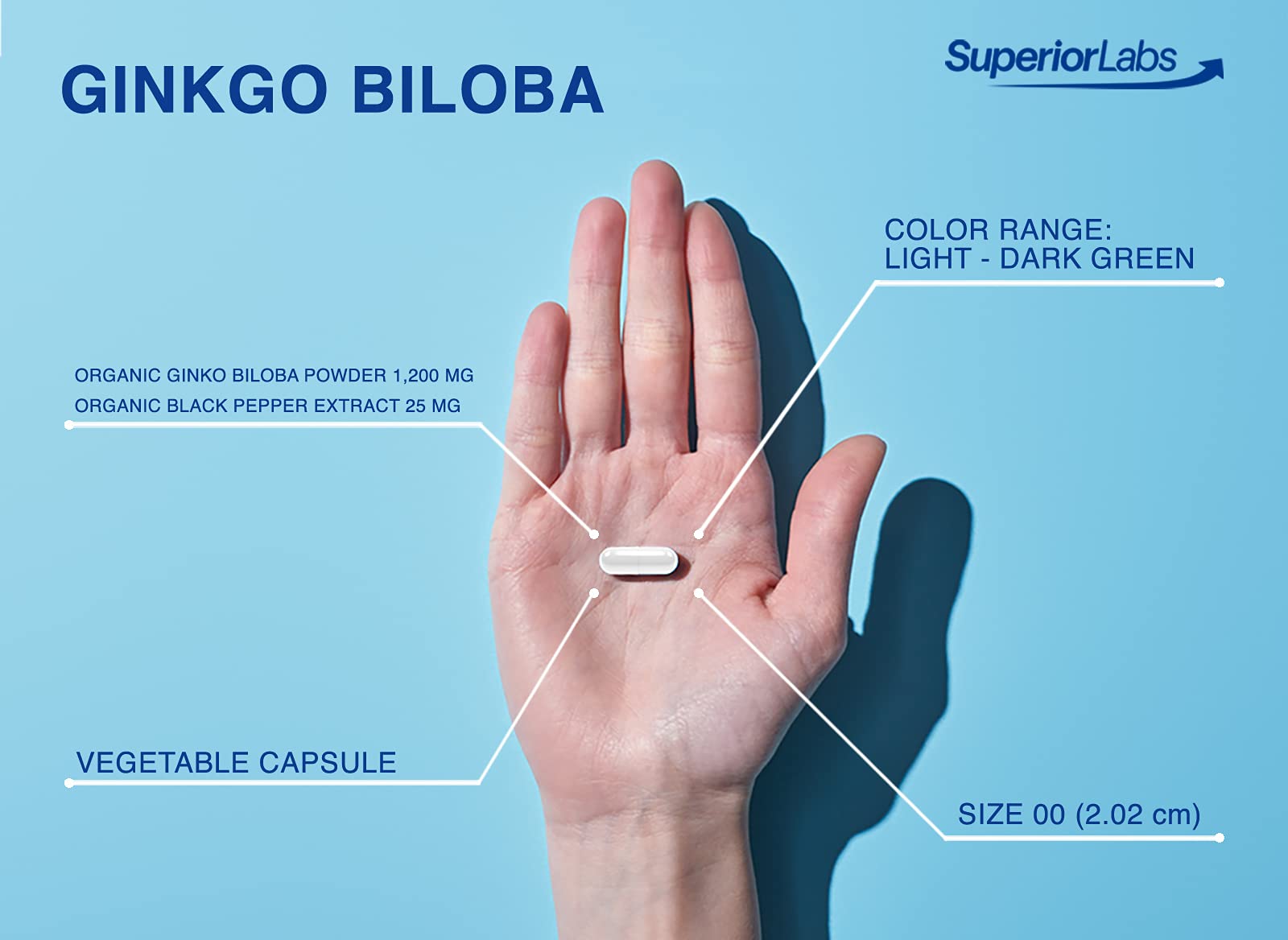Black pepper enhances absorption with Ginkgo Biloba