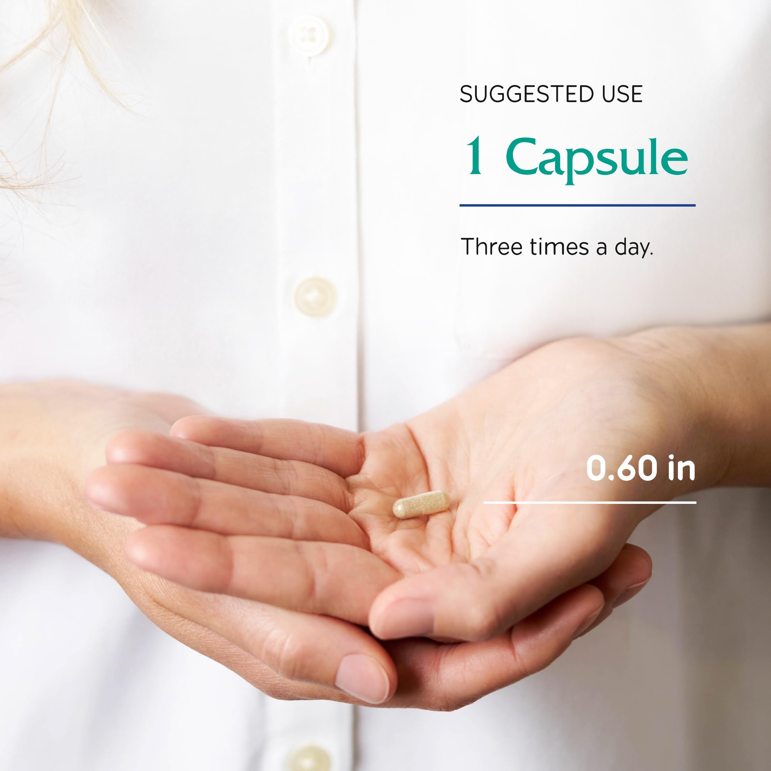 Close-up of Ginkgo Biloba capsules