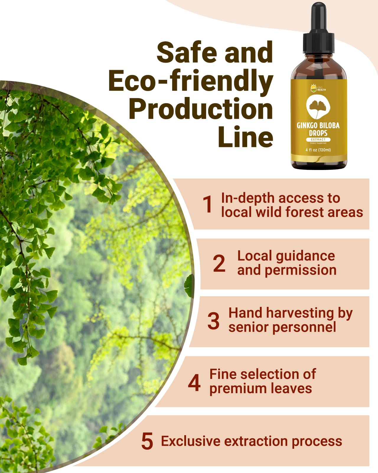 Graphic showing 98% absorption of ginkgo biloba drops