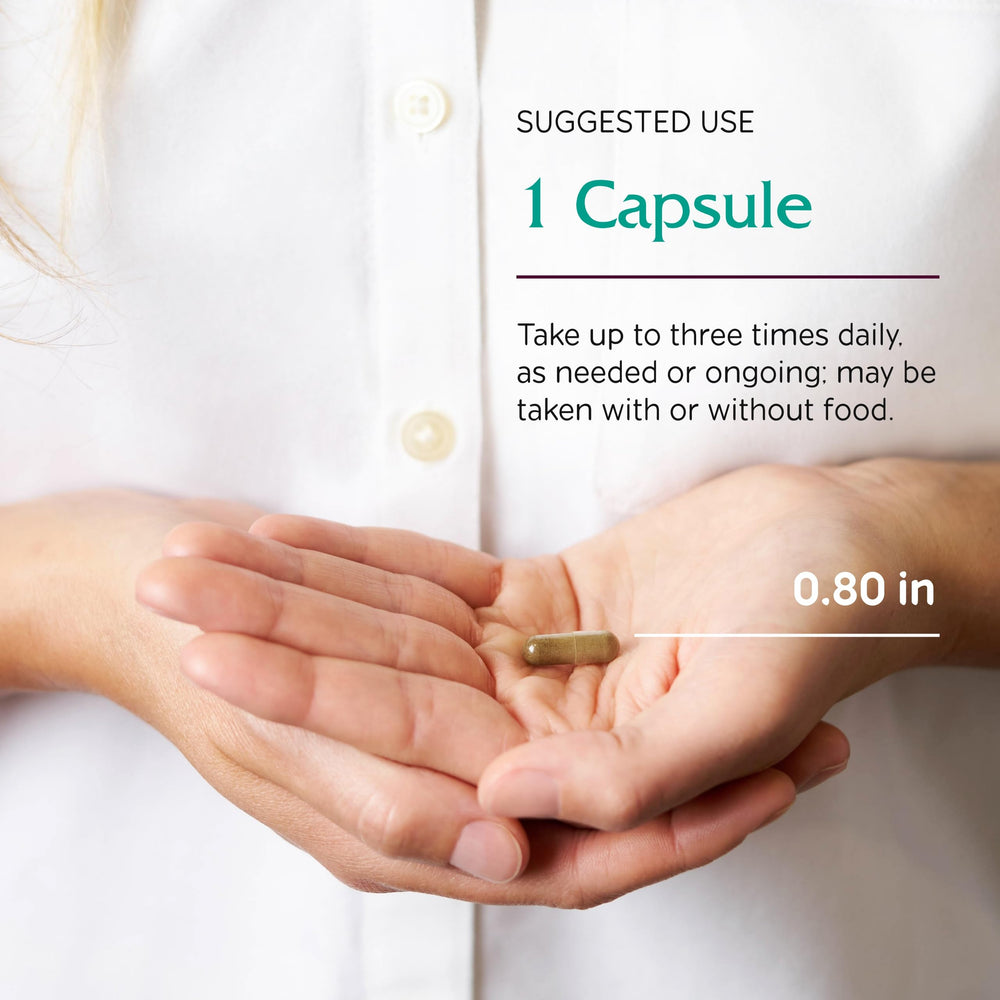 Ginkgo biloba leaves for brain circulation