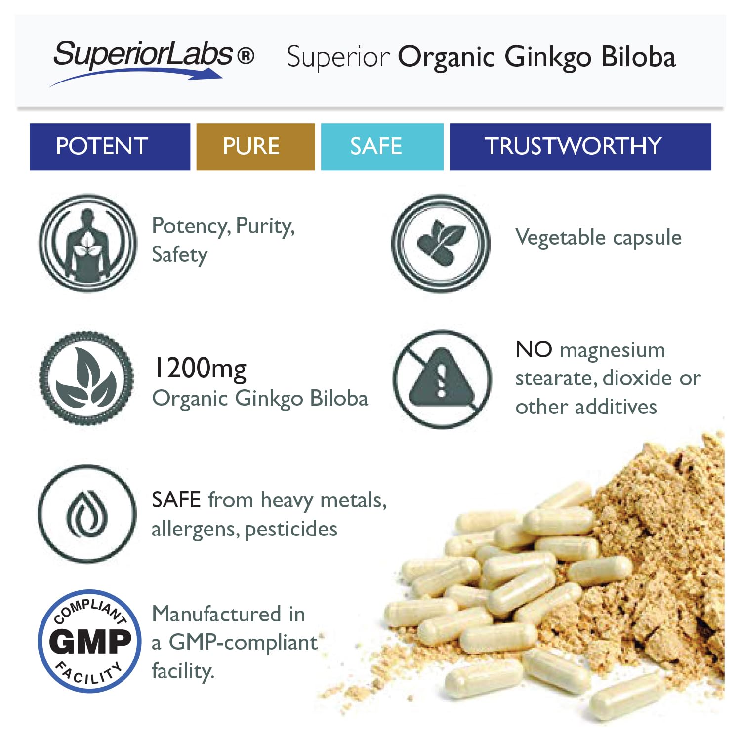 Memory and focus support from Ginkgo Biloba