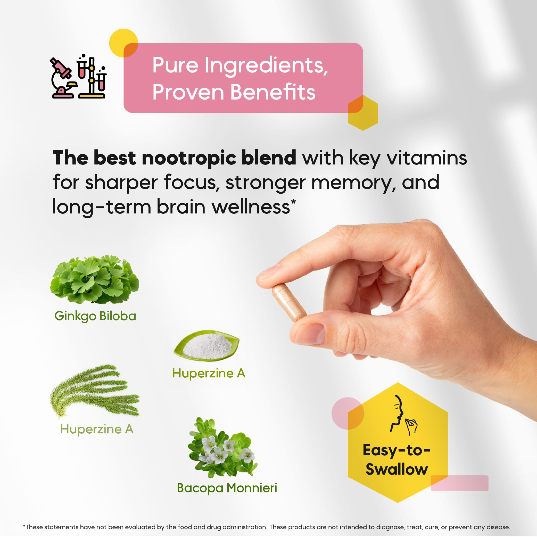 Illustration of ingredients: Ginkgo Biloba, Bacopa Monnieri, and St. John’s Wort