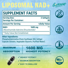 Close-up illustrating liposomal NAD+ absorption technology