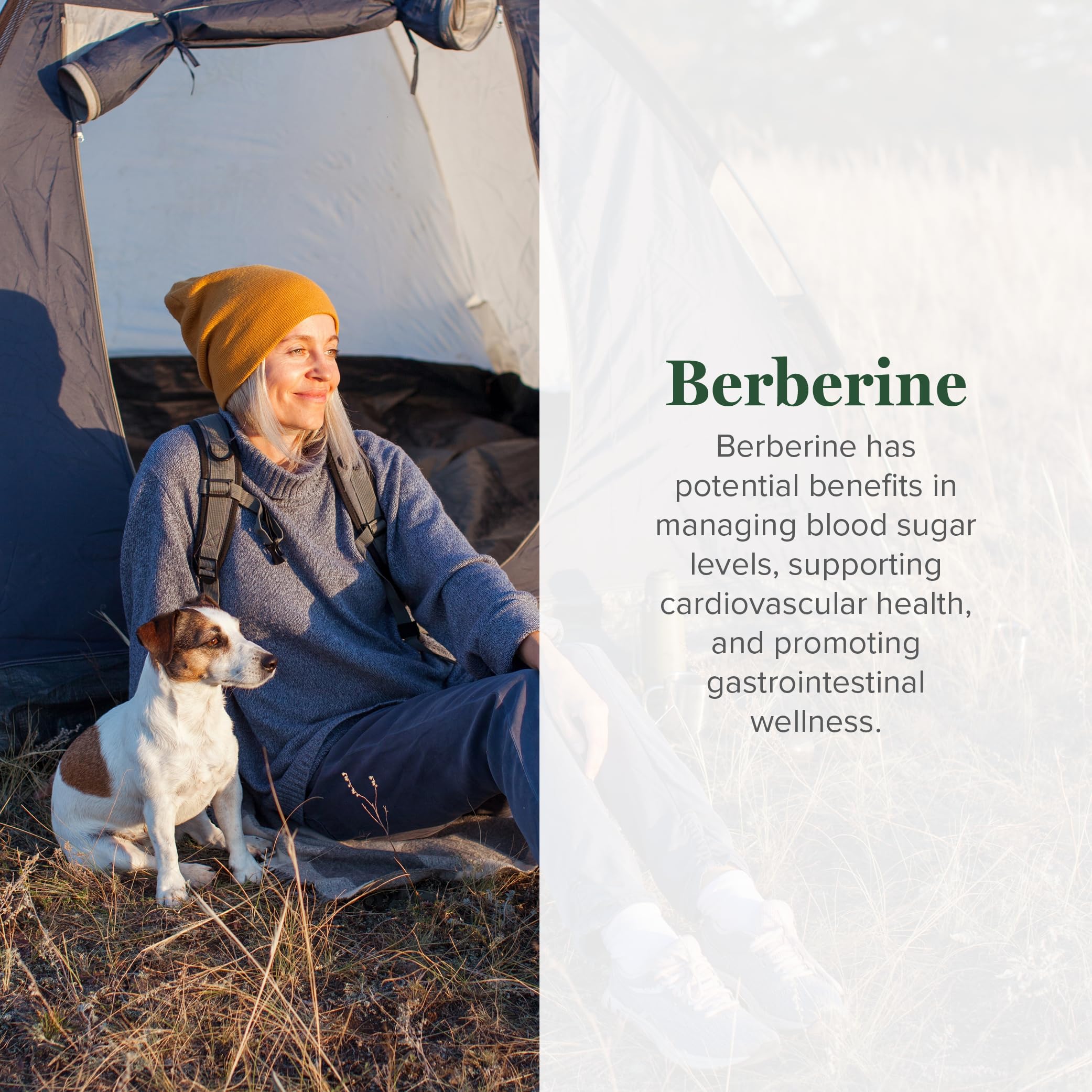 Close-up of Berberine 1200 mg capsules with Cinnamon and Black Pepper
