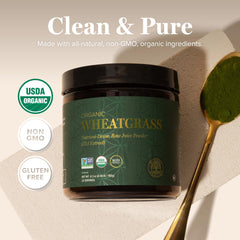 Wheatgrass juice powder production in cold-process facility