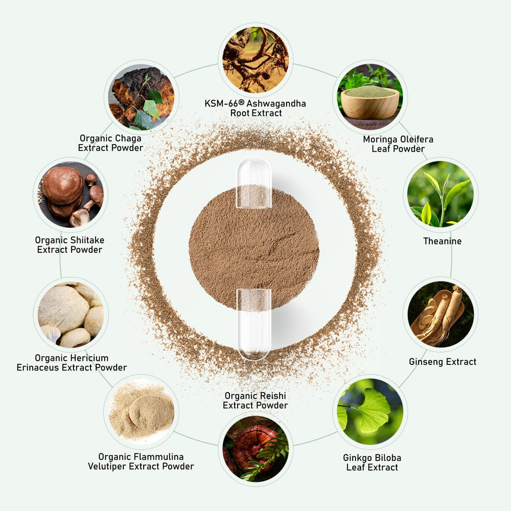 L-Theanine and Ashwagandha highlighted in the formula