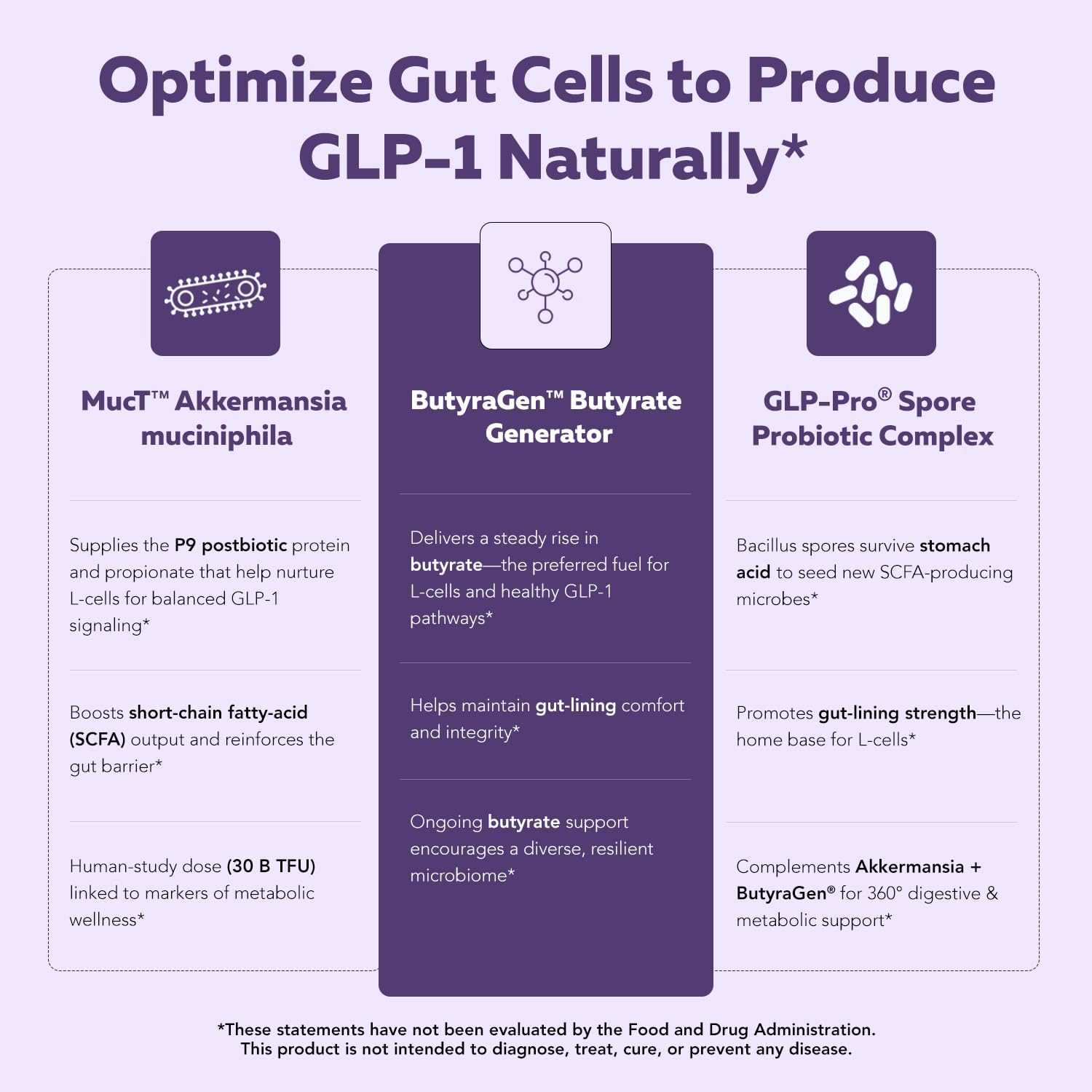 Spore-forming Bacillus probiotic illustration