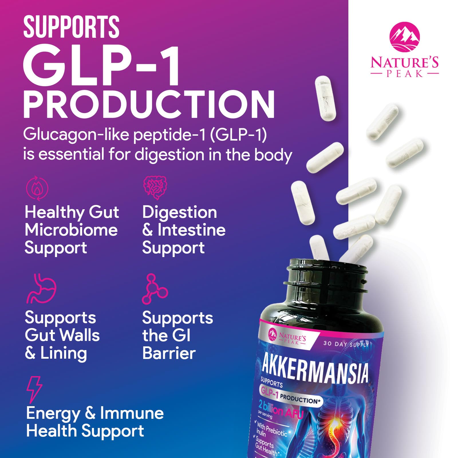 Graphic showing GLP-1 production support from probiotic capsules