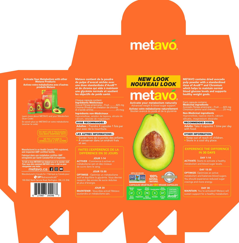 GLP-1 support meal plan illustration