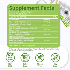Illustration of gut lining and healing process