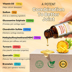 2-pack label and packaging of Glucosamine Chondroitin MSM