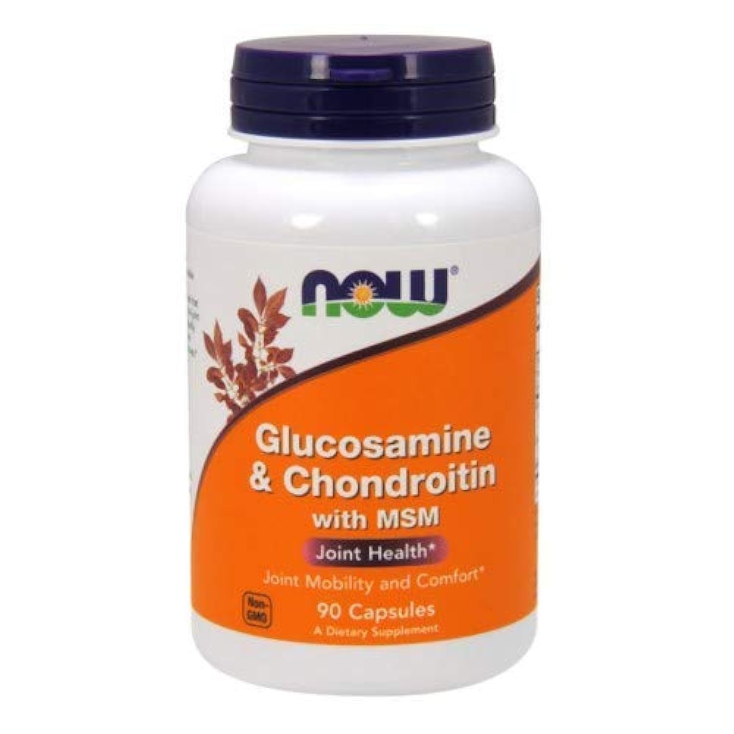 Glucosamine & Chondroitin with MSM - 90 Caps - 2 Pack