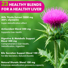 Glutathione and artichoke liver health ingredients