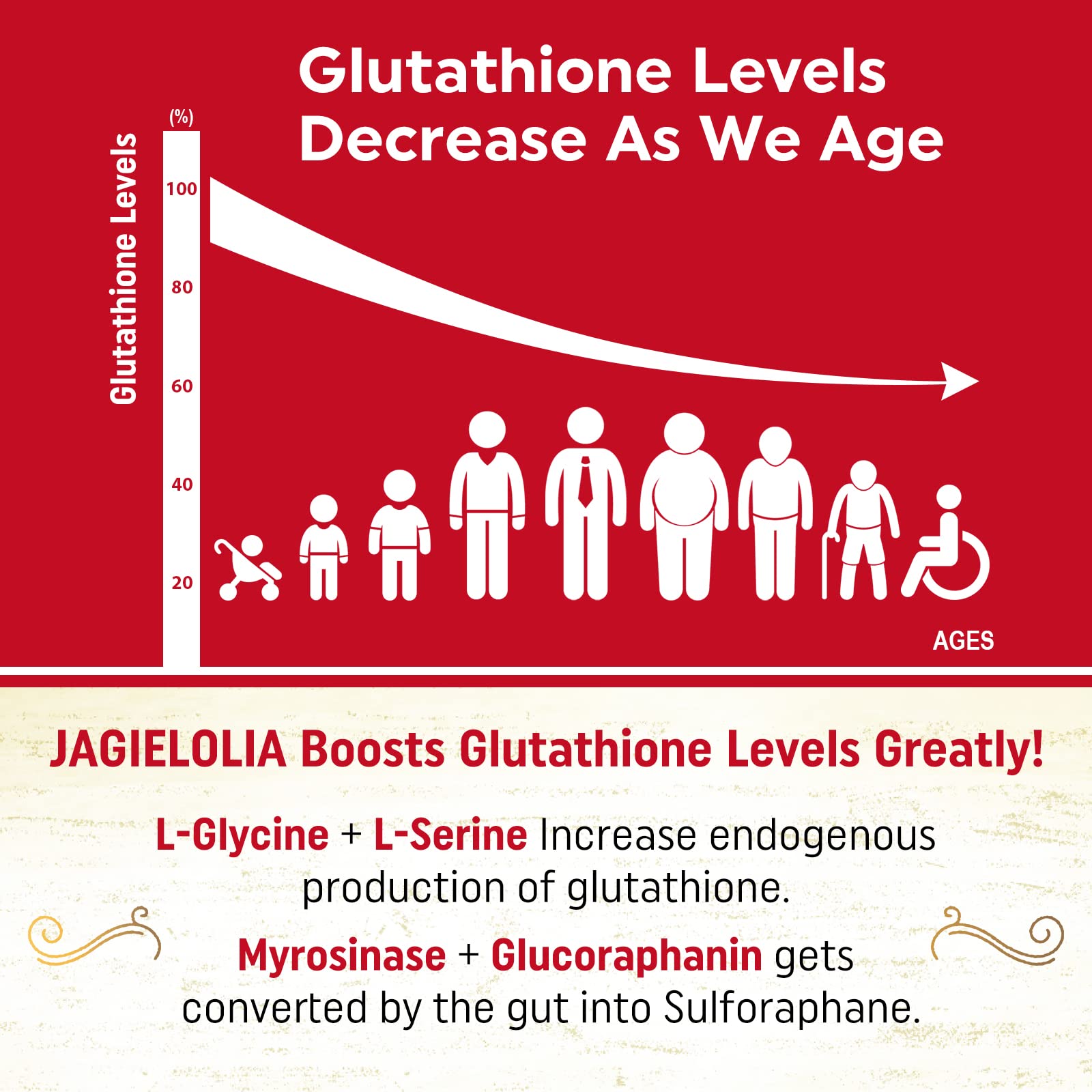 Glutathione precursor blend of L-Serine and L-Glycine