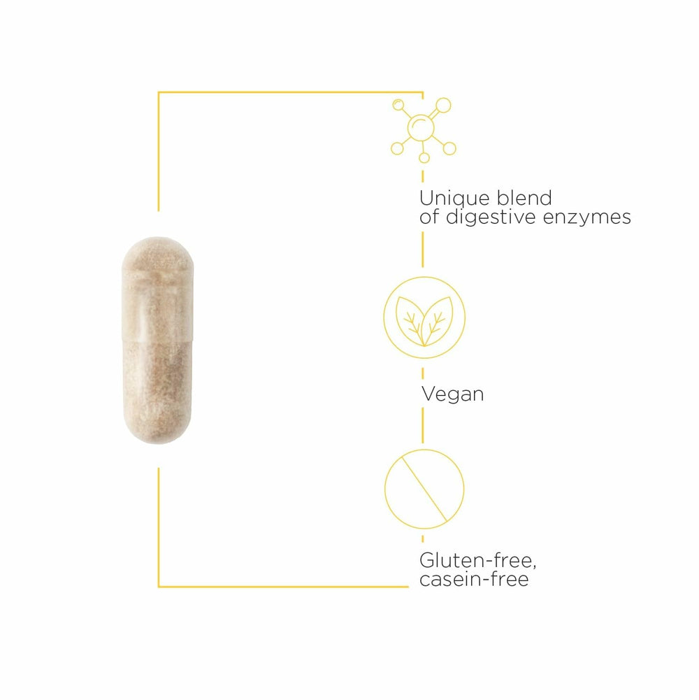 Gluten and casein digestion support